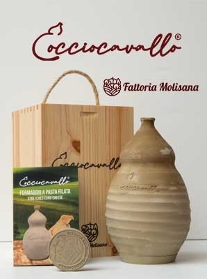 cocciocavallo_005